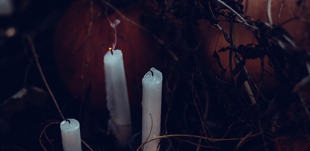 Three white candles in the middle of dried vines.
