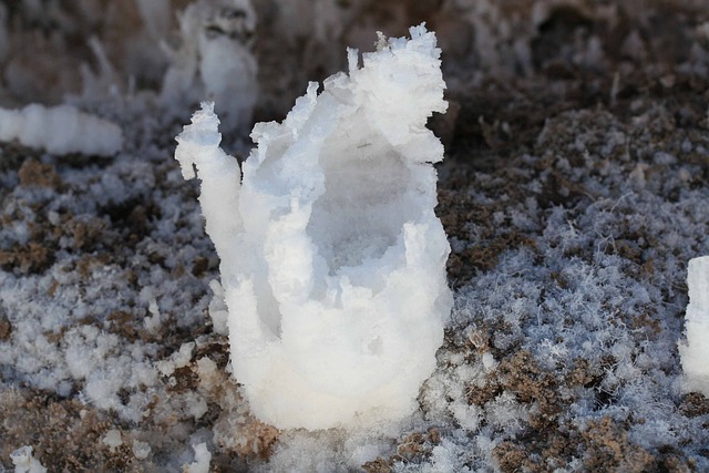 A crystal of halite. It kind of resembles a small pile of snow. 