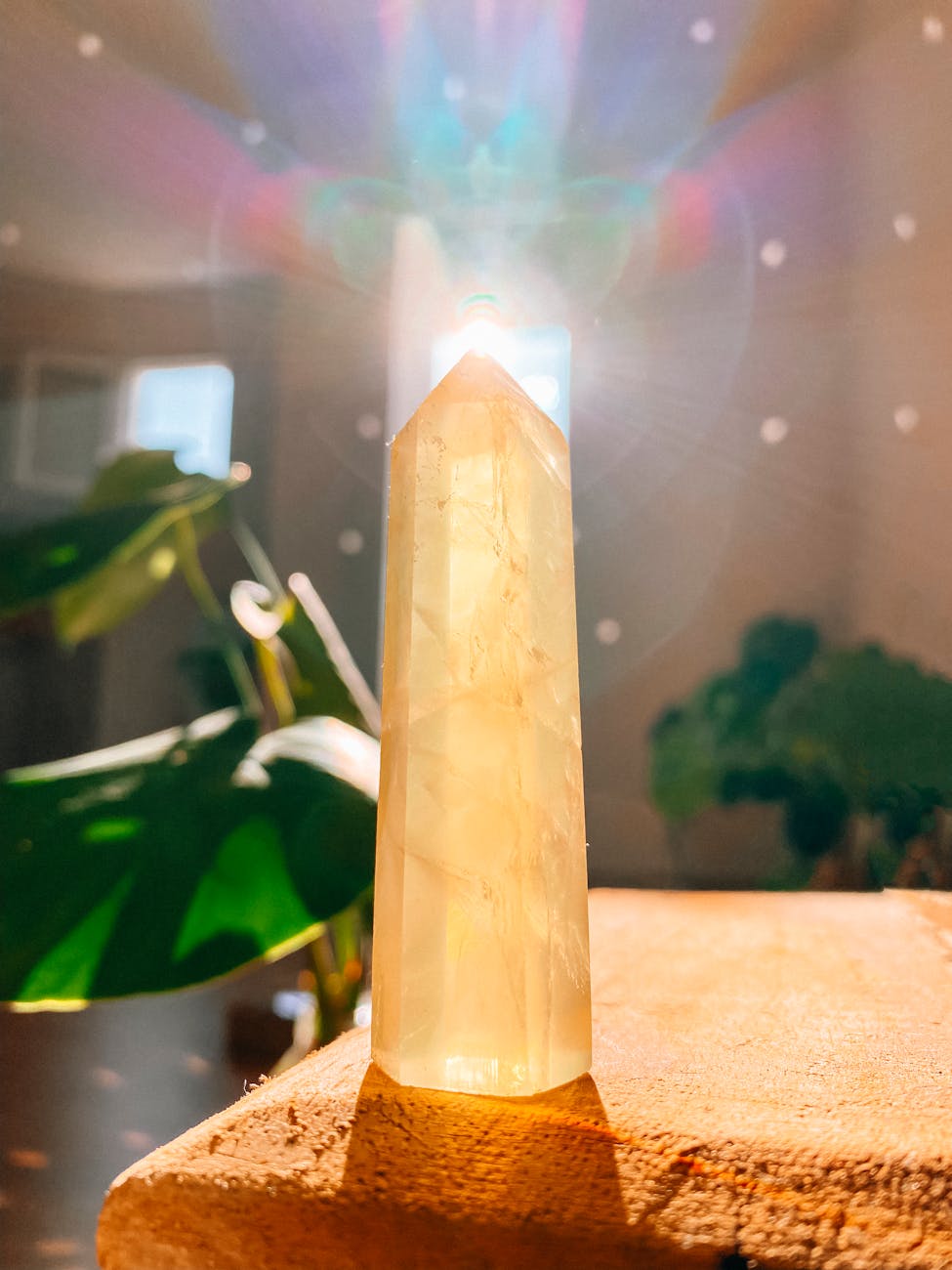 A tower of a translucent, honey-colored mineral sits on a wooden table. In the background, there are several houseplants and a rainbowy lens flare. 